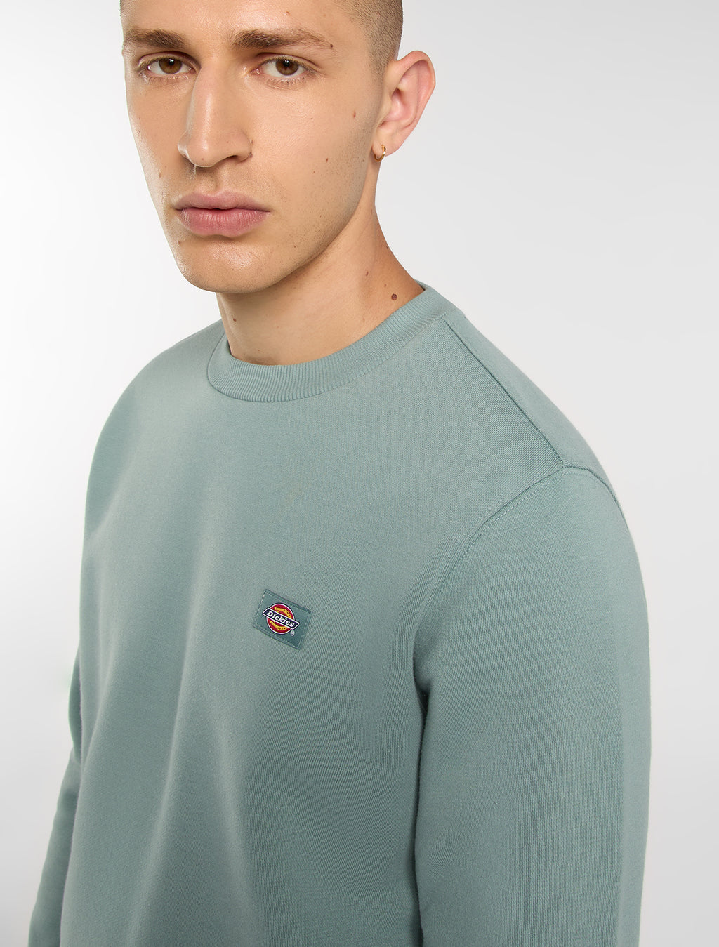Sweaters blauw Dickies