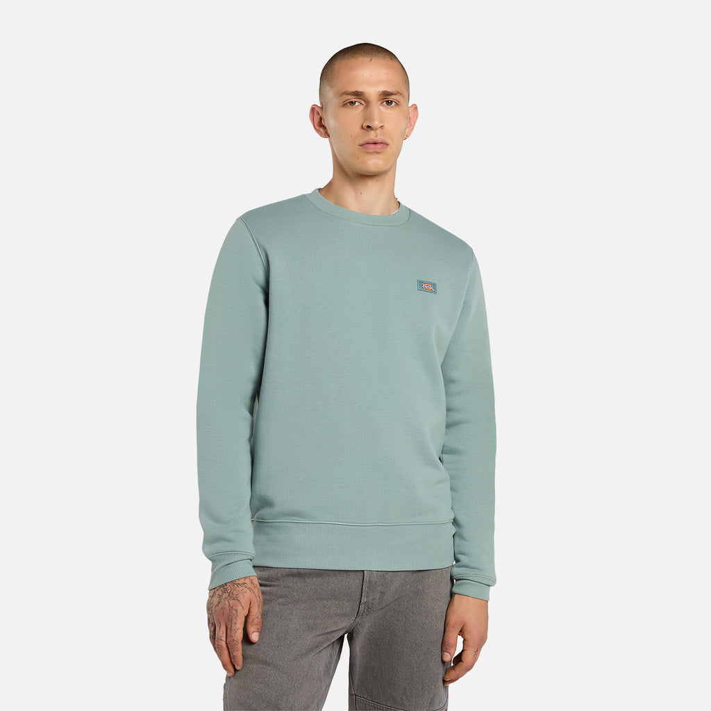 Sweaters blauw Dickies