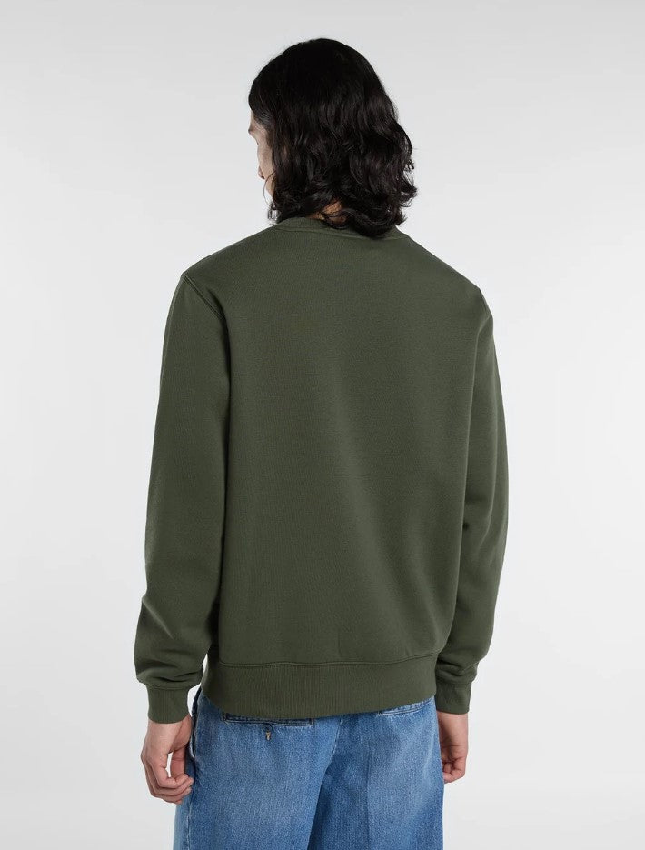 Sweaters groen Dickies