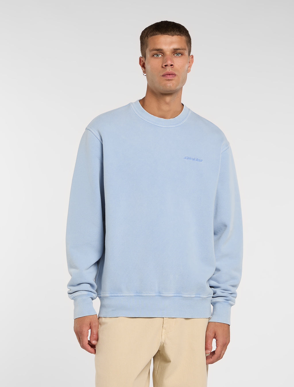 Sweaters blauw Dickies