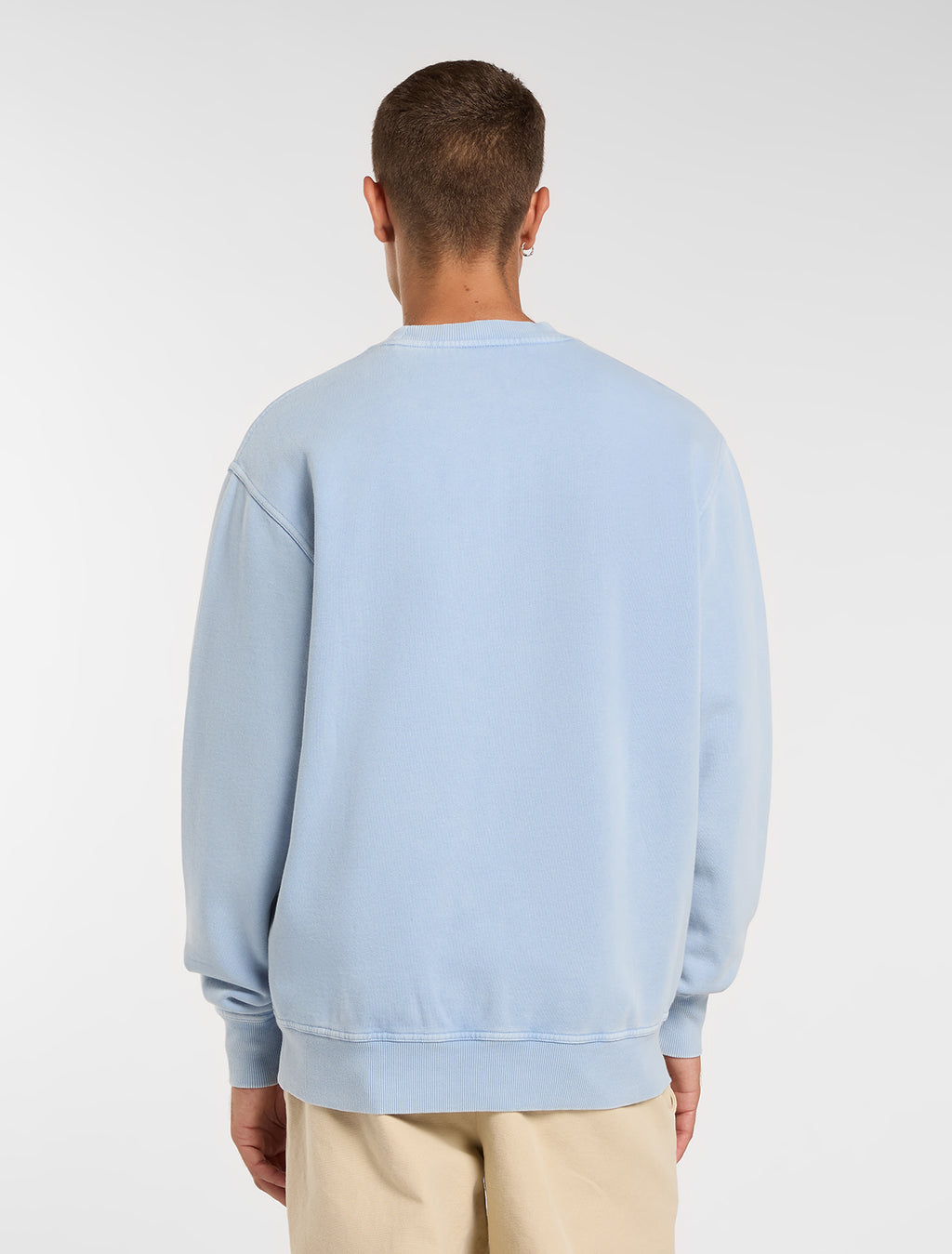Sweaters blauw Dickies