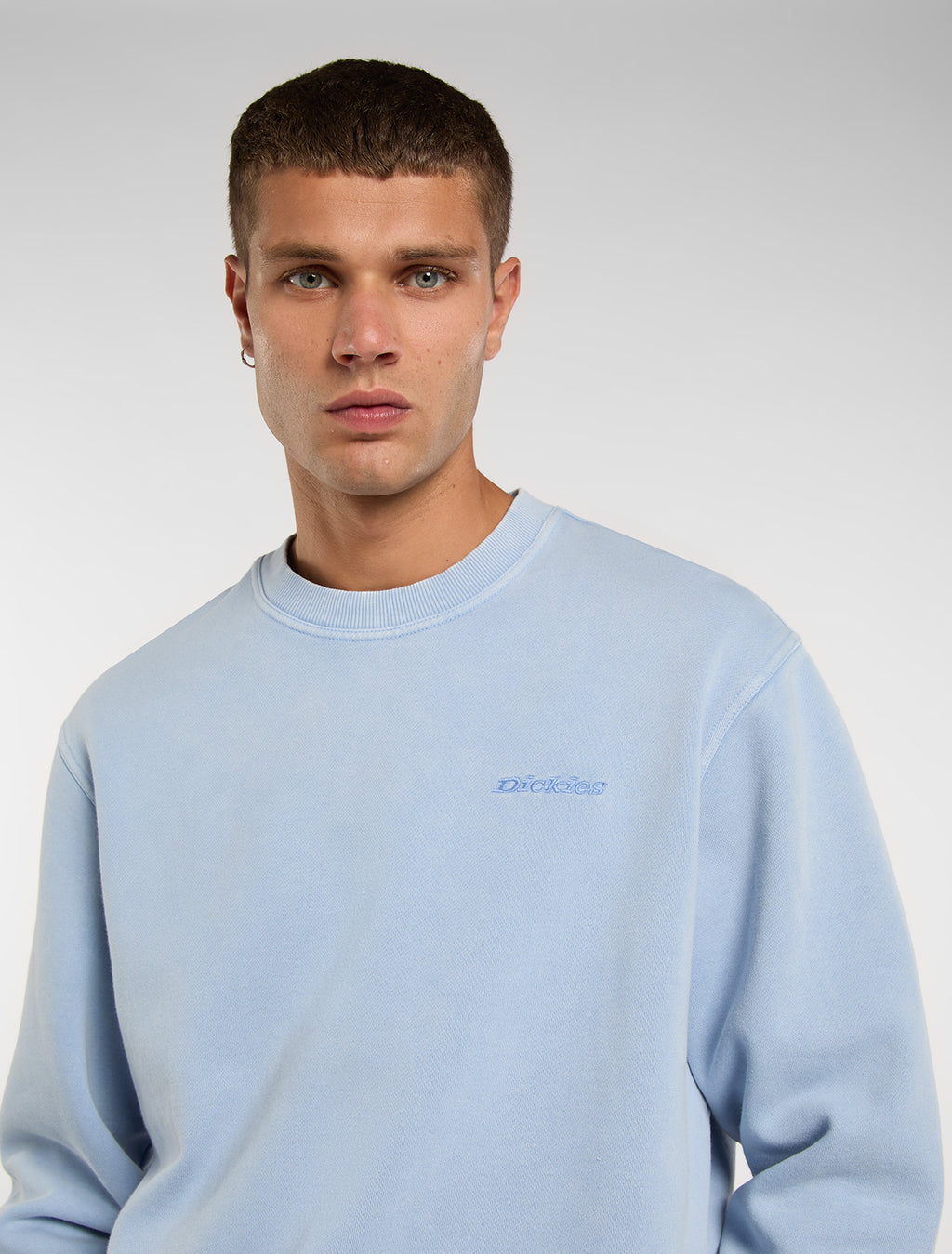 Sweaters blauw Dickies