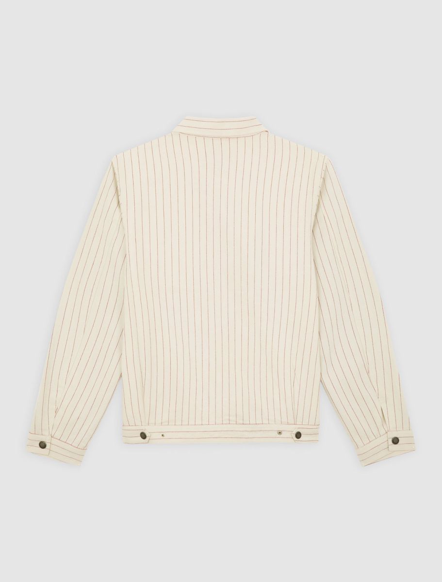 Jassen beige Dickies