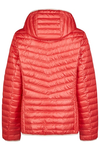 Jassen oranje Barbara Lebek