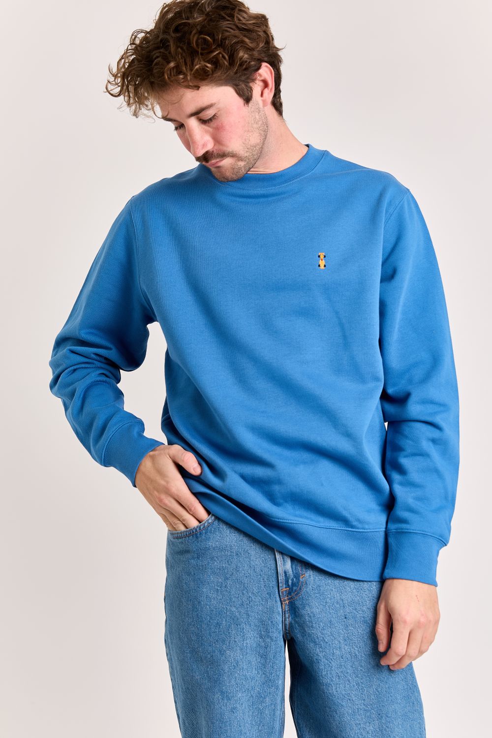 Sweaters blauw STRØM