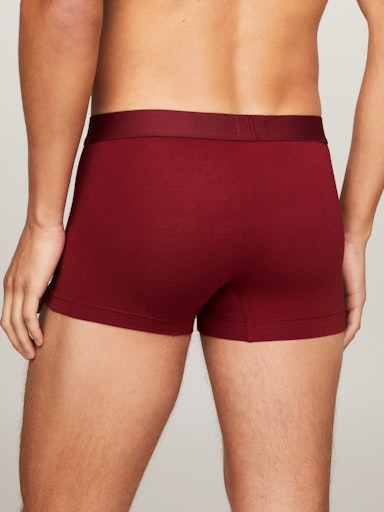 Ondergoed multicolor Tommy Hilfiger