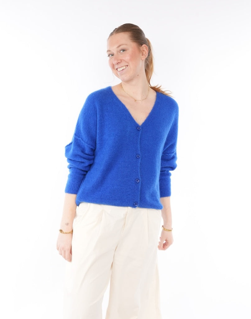 Cardigans blauw BLACK ROSE