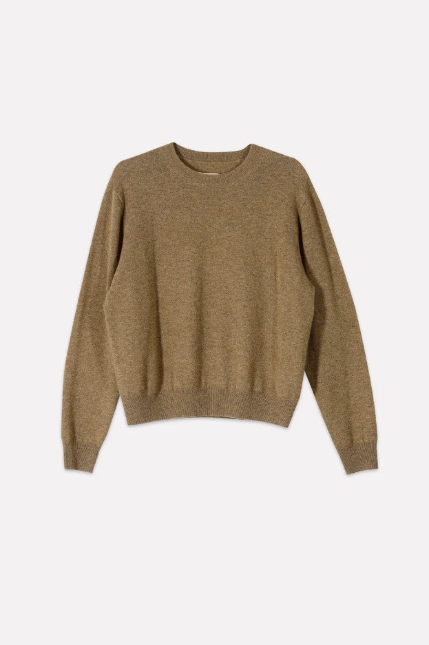 Pulls bruin Collectors Club