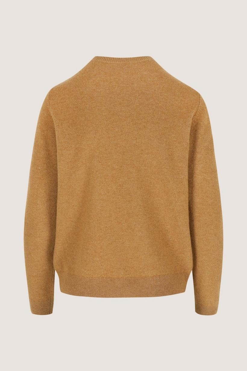 Pulls bruin Mayerline