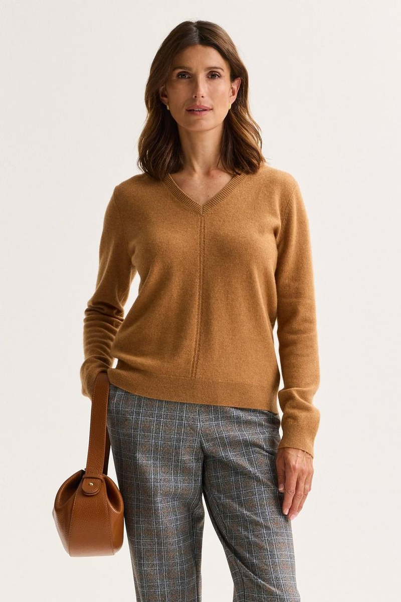 Pulls bruin Mayerline