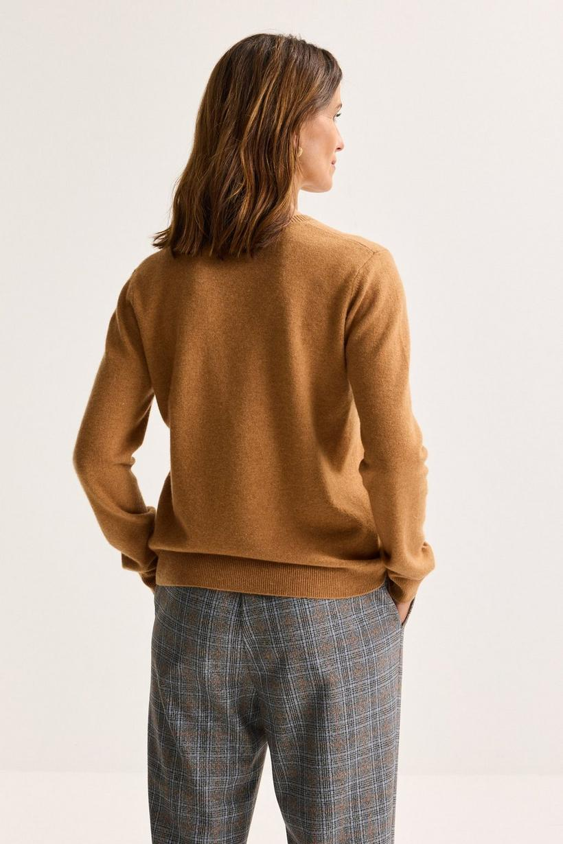 Pulls bruin Mayerline