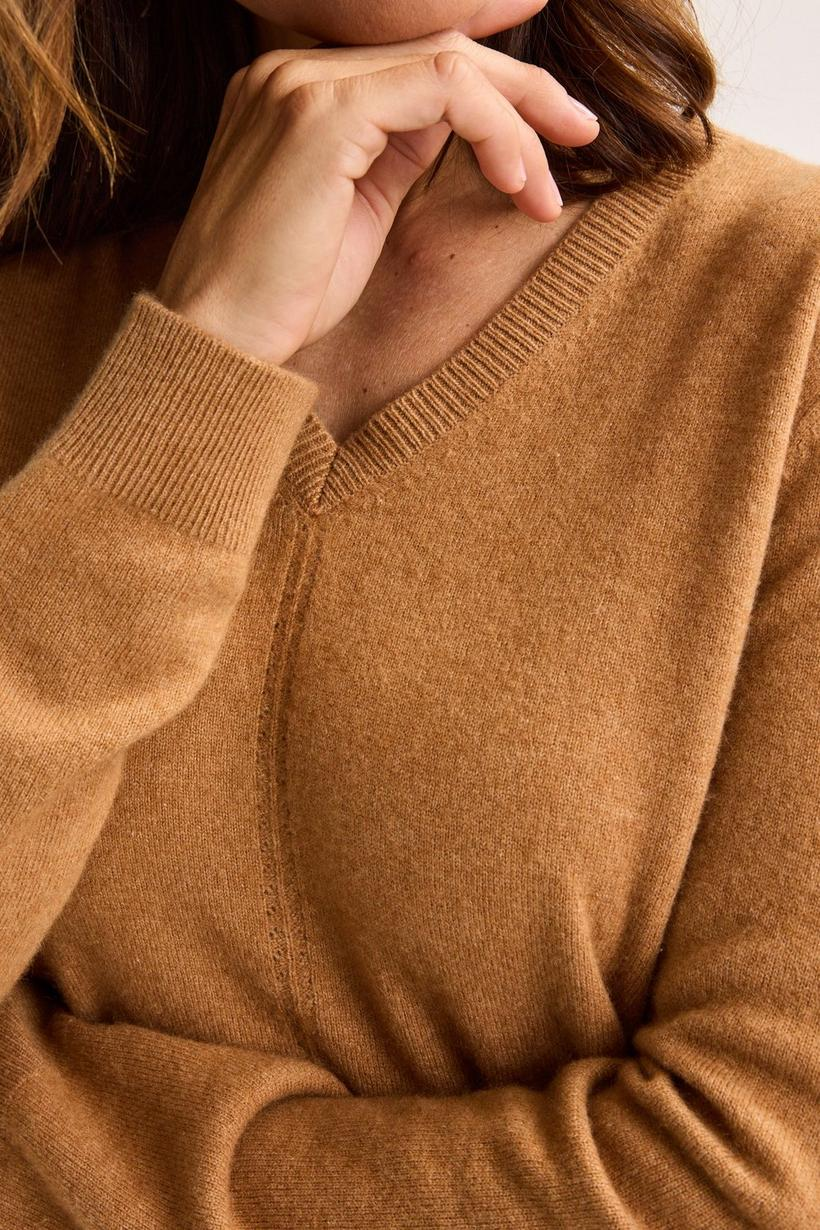 Pulls bruin Mayerline