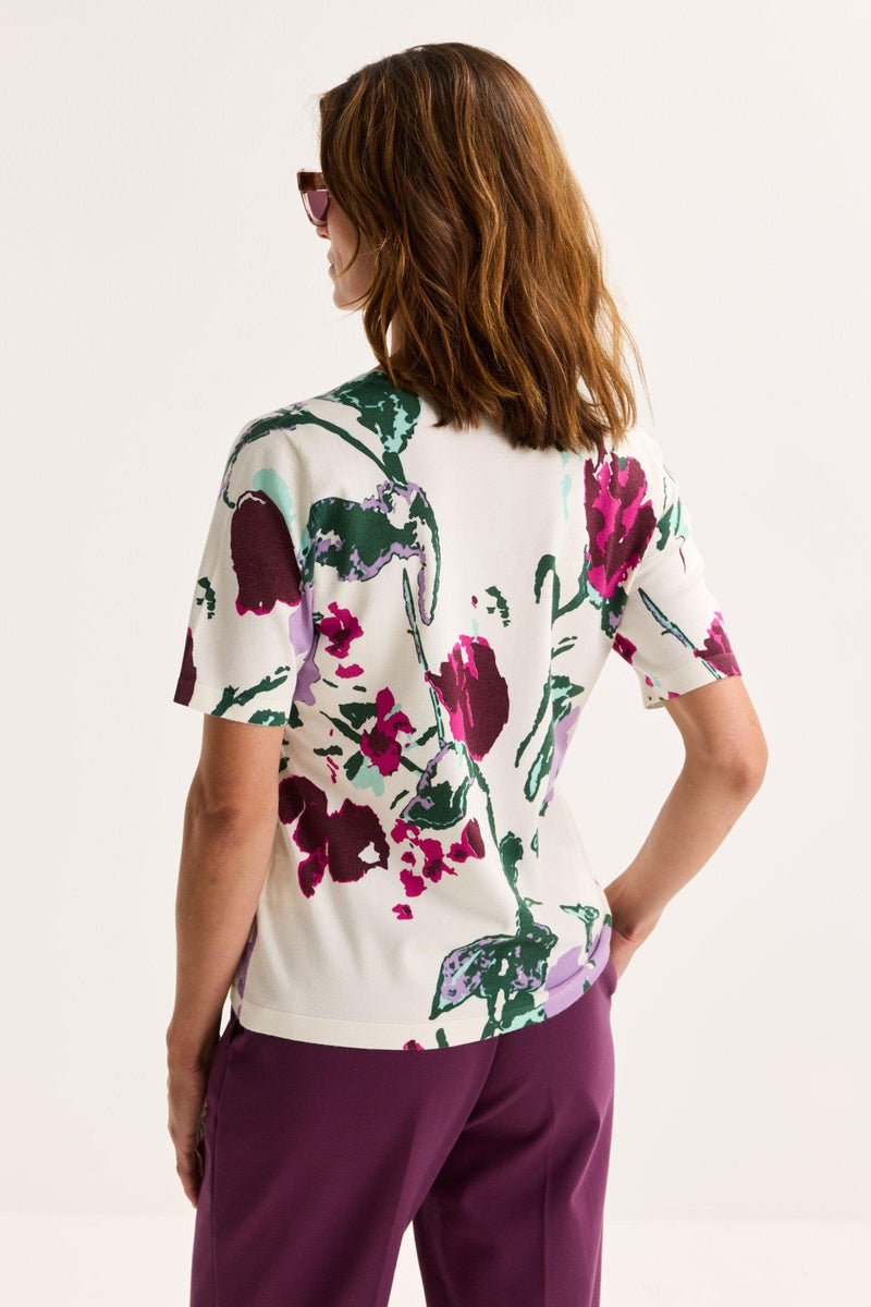 Pulls paars Mayerline