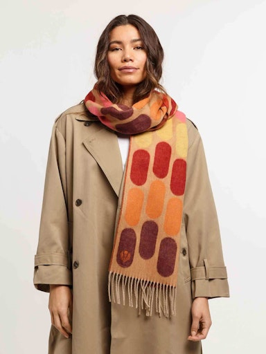 Sjaals multicolor Fraas