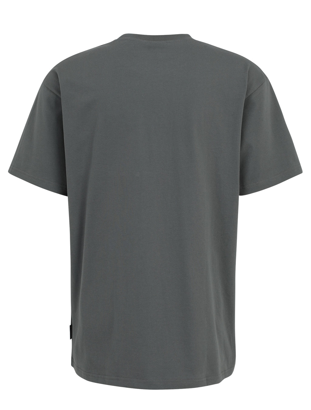 T-shirts korte mouw grijs Iriedaily