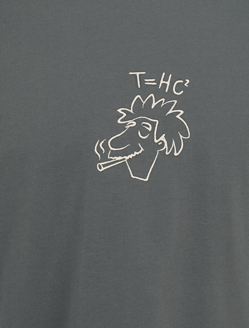 T-shirts korte mouw grijs Iriedaily