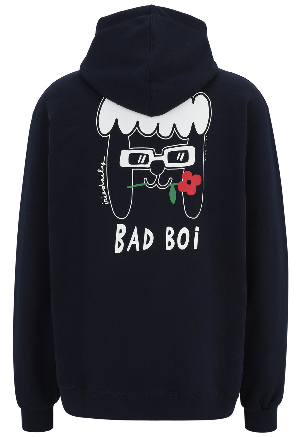 Sweaters navy Iriedaily