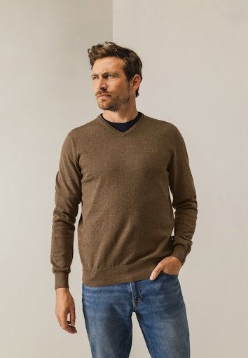 Pulls bruin State of Art