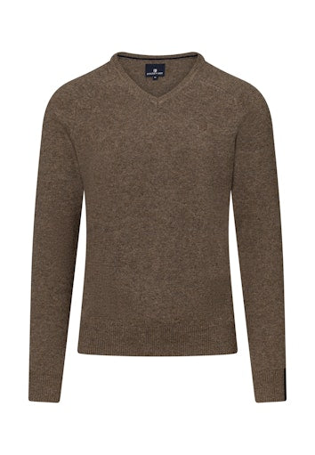 Pulls bruin State of Art