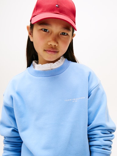 Sweaters blauw Tommy Hilfiger
