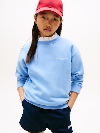 Sweaters blauw Tommy Hilfiger