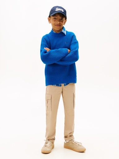 Sweaters blauw Tommy Hilfiger