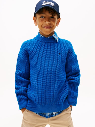 Sweaters blauw Tommy Hilfiger
