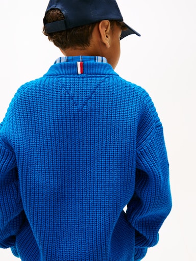 Sweaters blauw Tommy Hilfiger