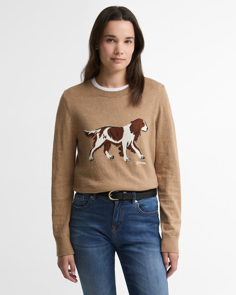 Pulls bruin Barbour