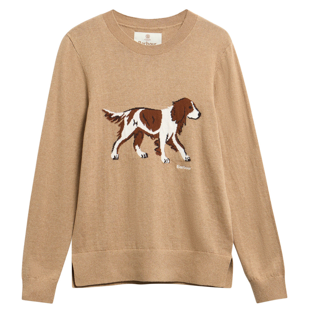 Pulls bruin Barbour