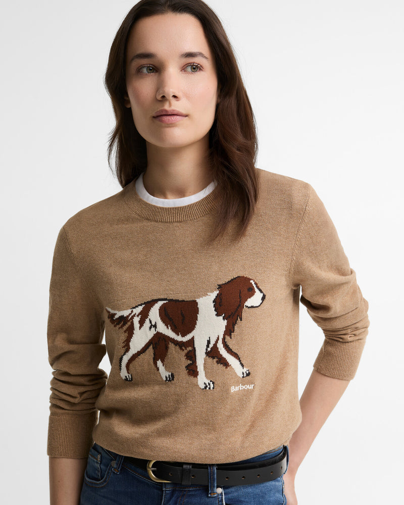 Pulls bruin Barbour