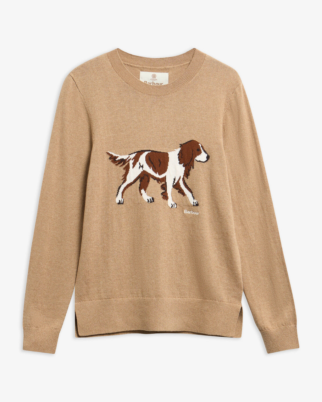 Pulls bruin Barbour