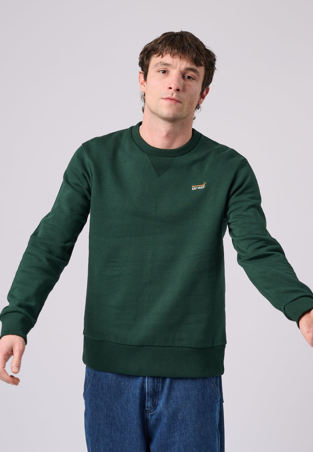 Sweaters groen ANTWRP