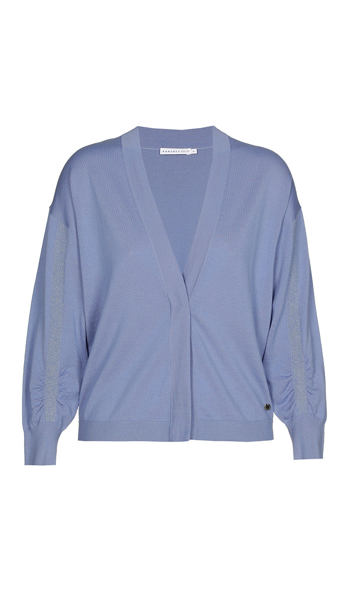 Cardigans blauw Xandres Gold