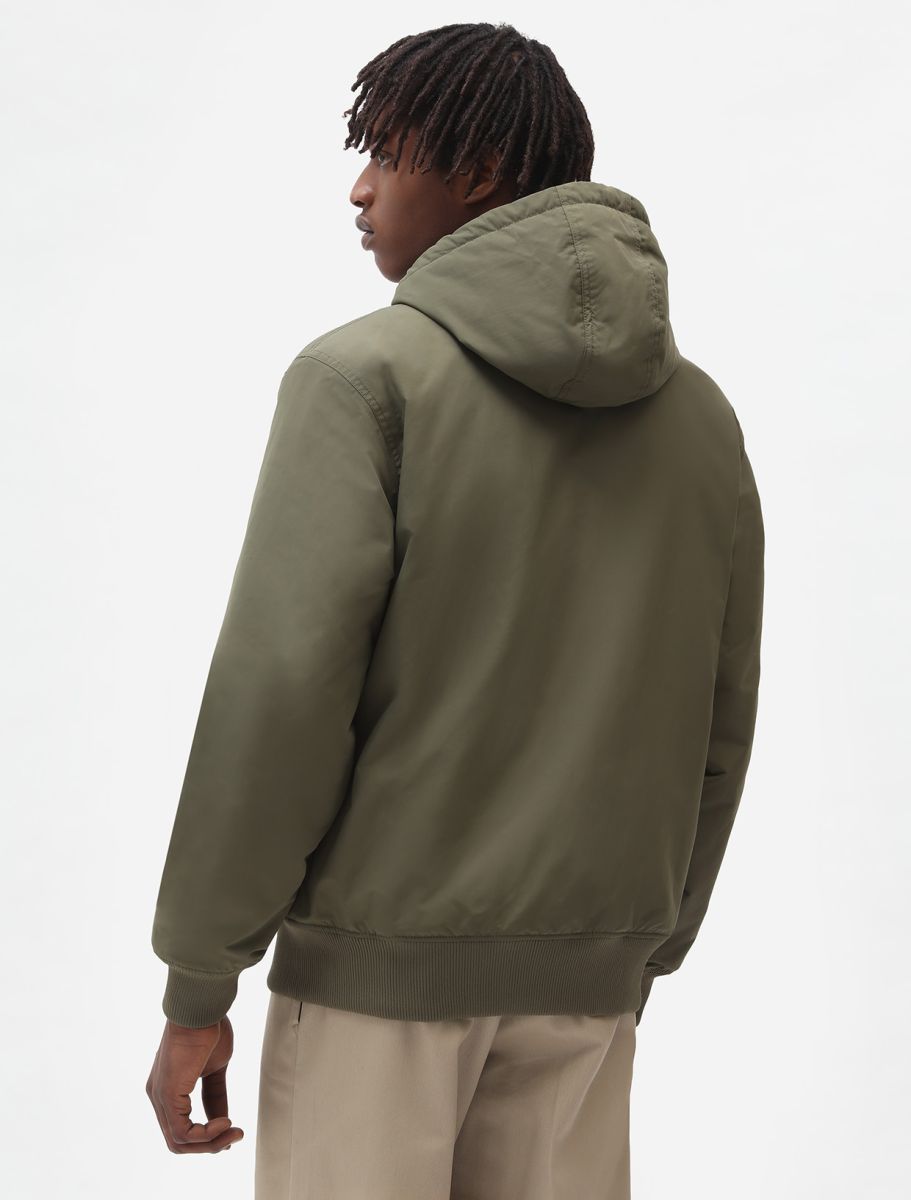 Jassen groen Dickies