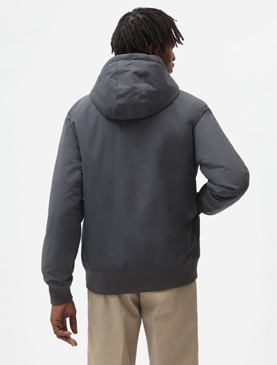 Jassen grijs Dickies