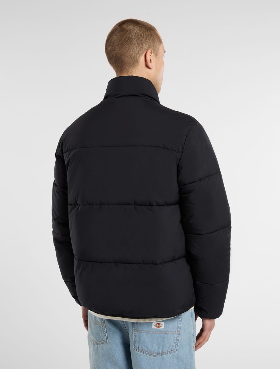 Jassen zwart Dickies