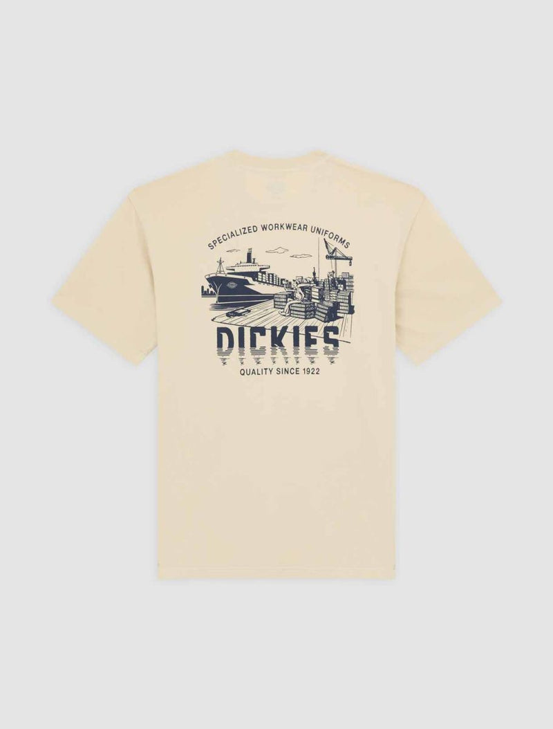T-shirts korte mouw bruin Dickies