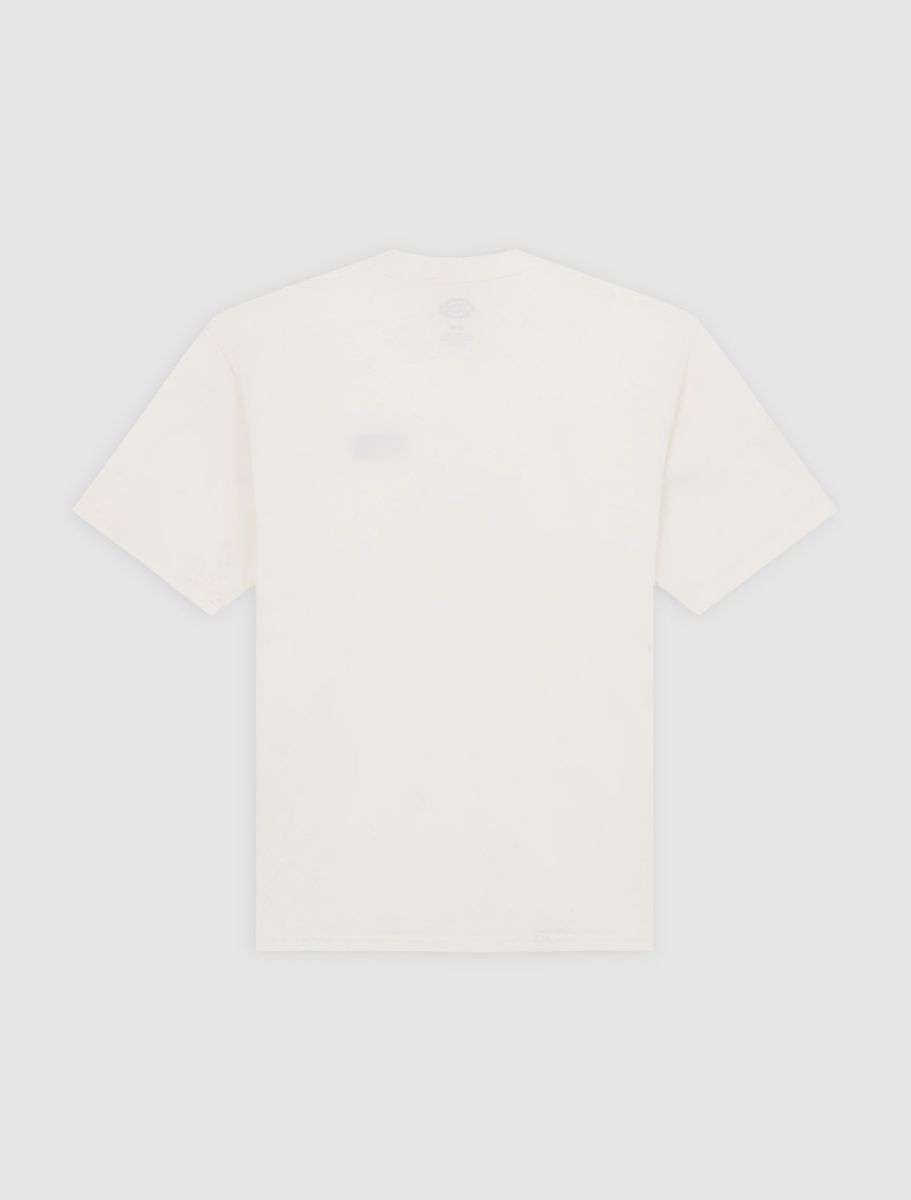 T-shirts korte mouw beige Dickies