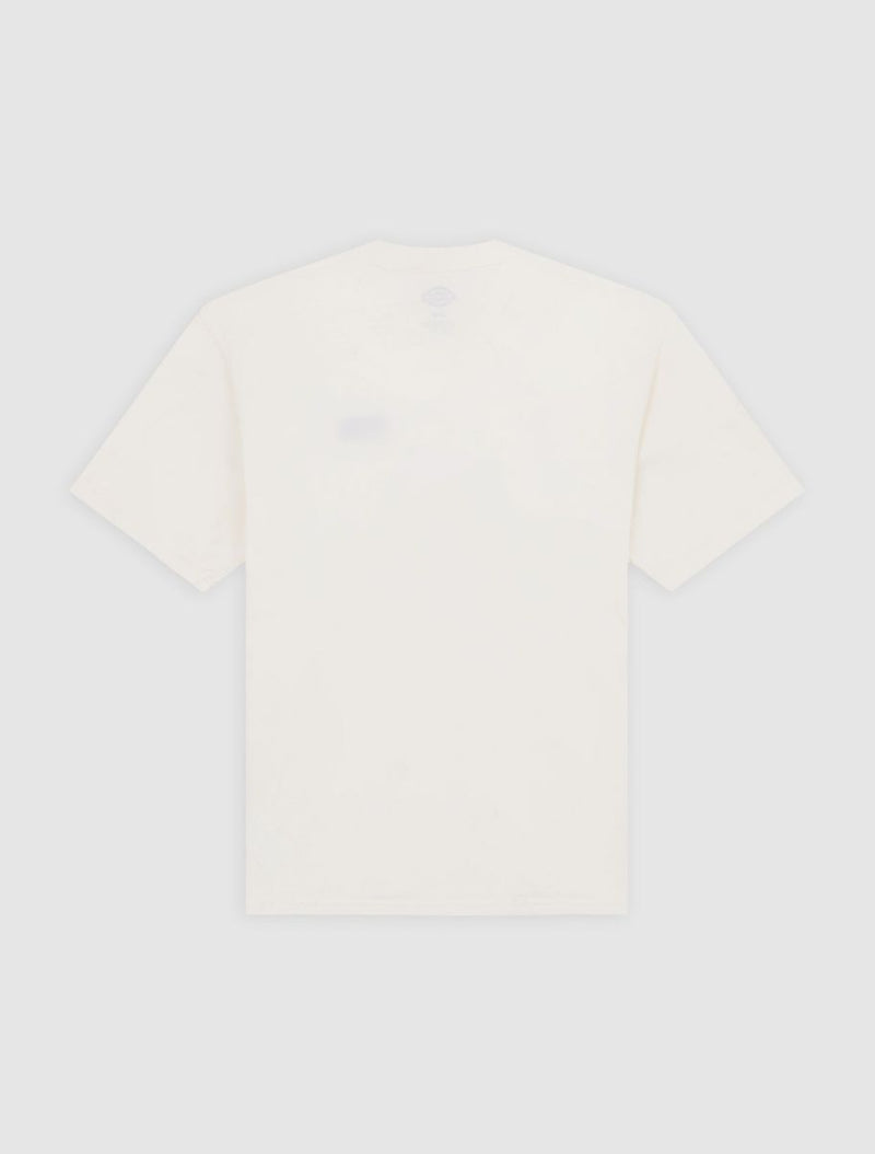 T-shirts korte mouw beige Dickies