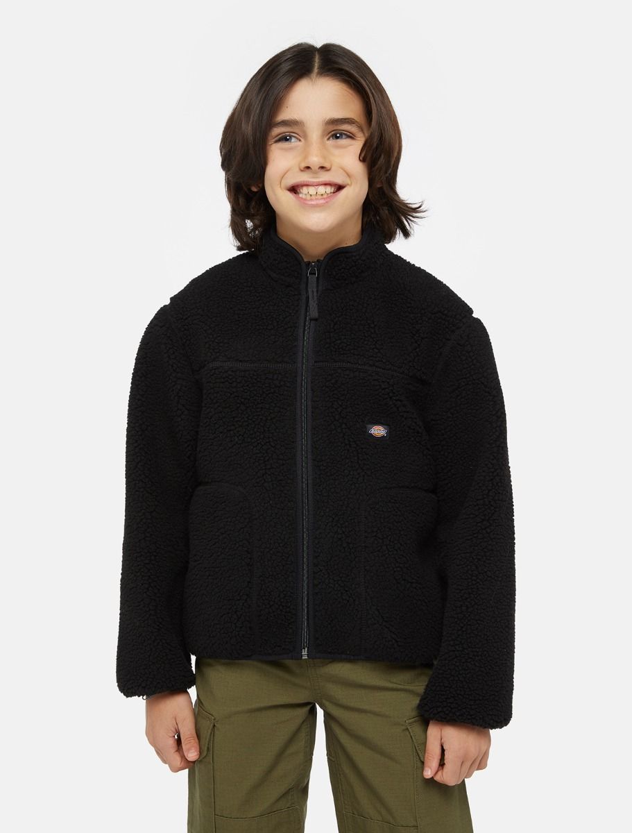 Cardigans zwart Dickies