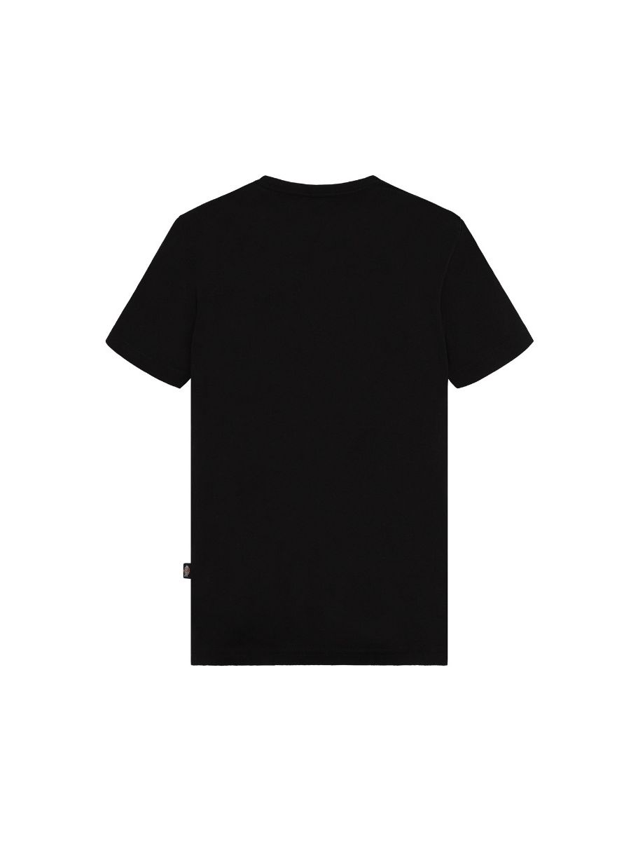T-shirts korte mouw zwart Dickies