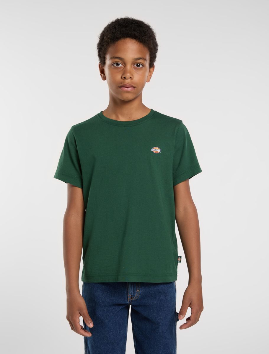 T-shirts korte mouw groen Dickies