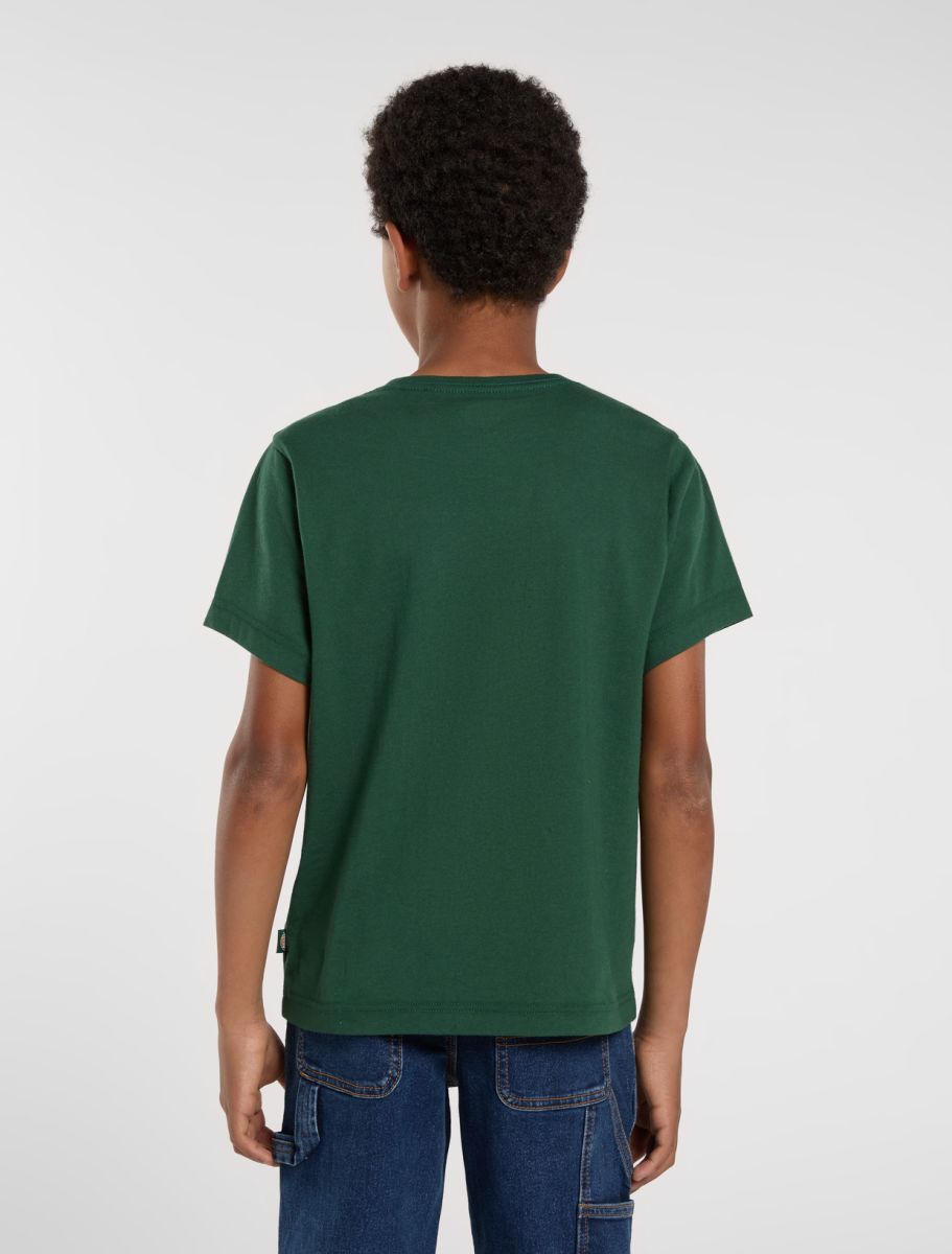 T-shirts korte mouw groen Dickies