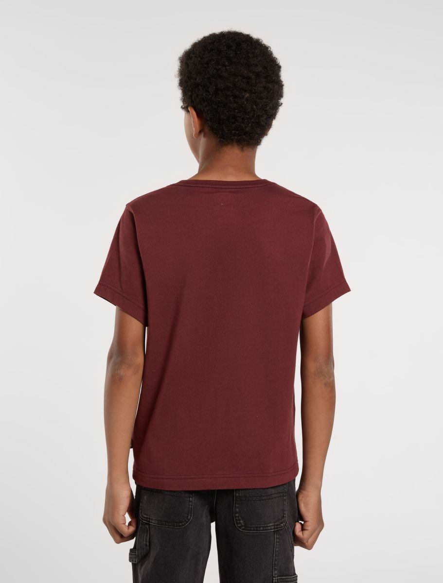 T-shirts korte mouw bruin Dickies