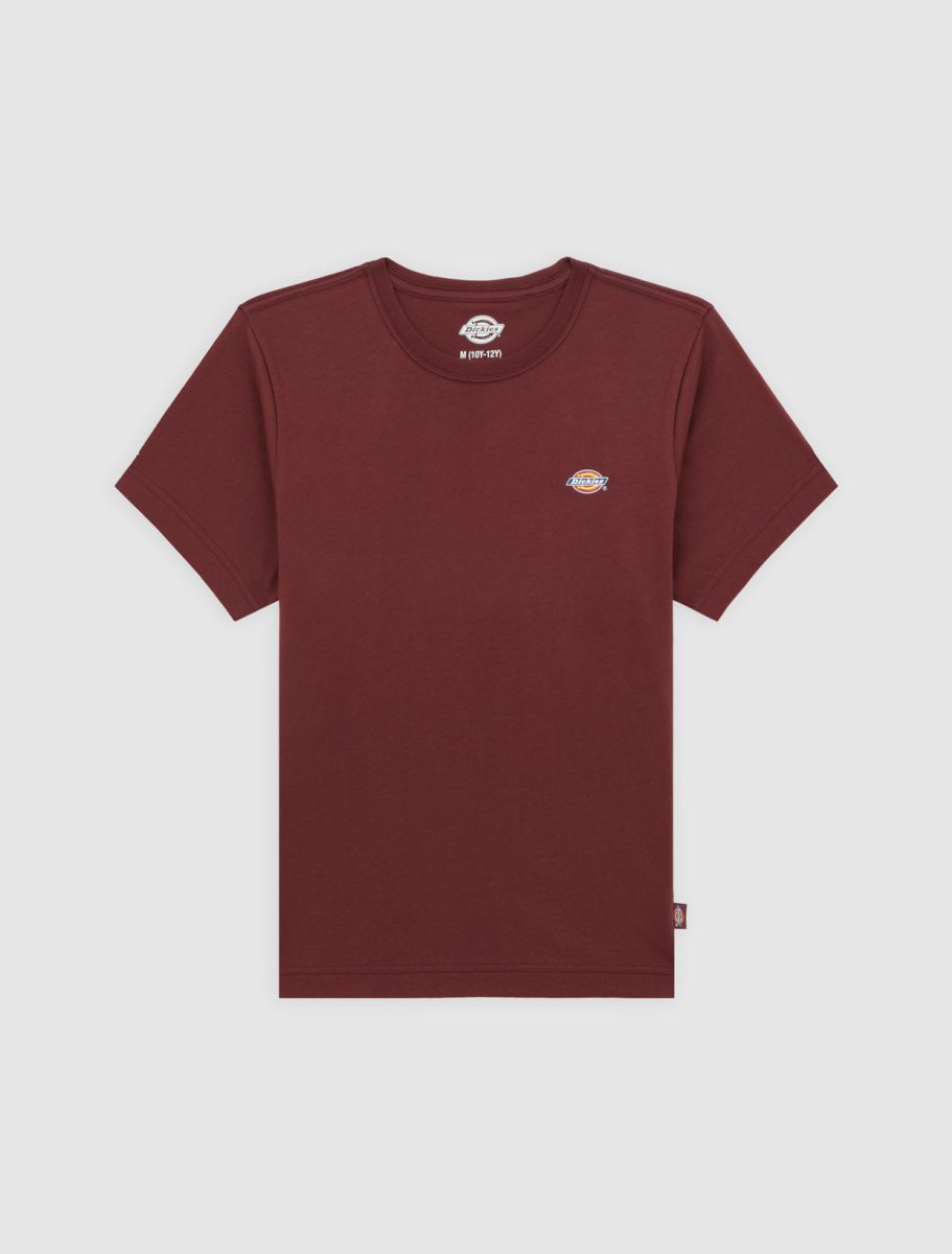 T-shirts korte mouw bruin Dickies