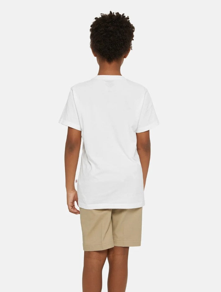 T-shirts korte mouw wit Dickies