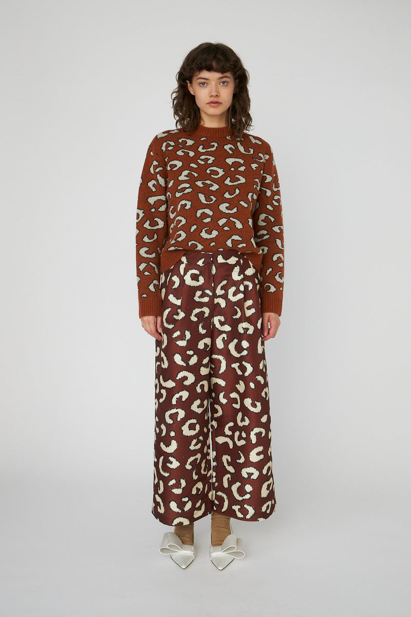 Pulls bruin STELLA NOVA