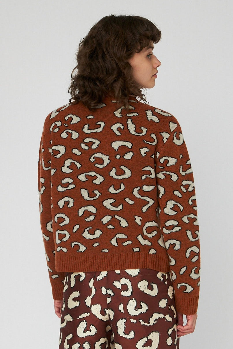 Pulls bruin STELLA NOVA