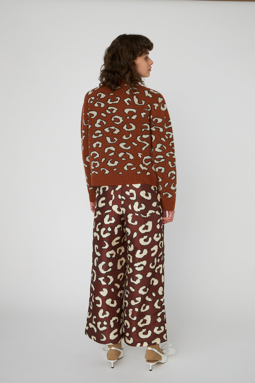 Pulls bruin STELLA NOVA